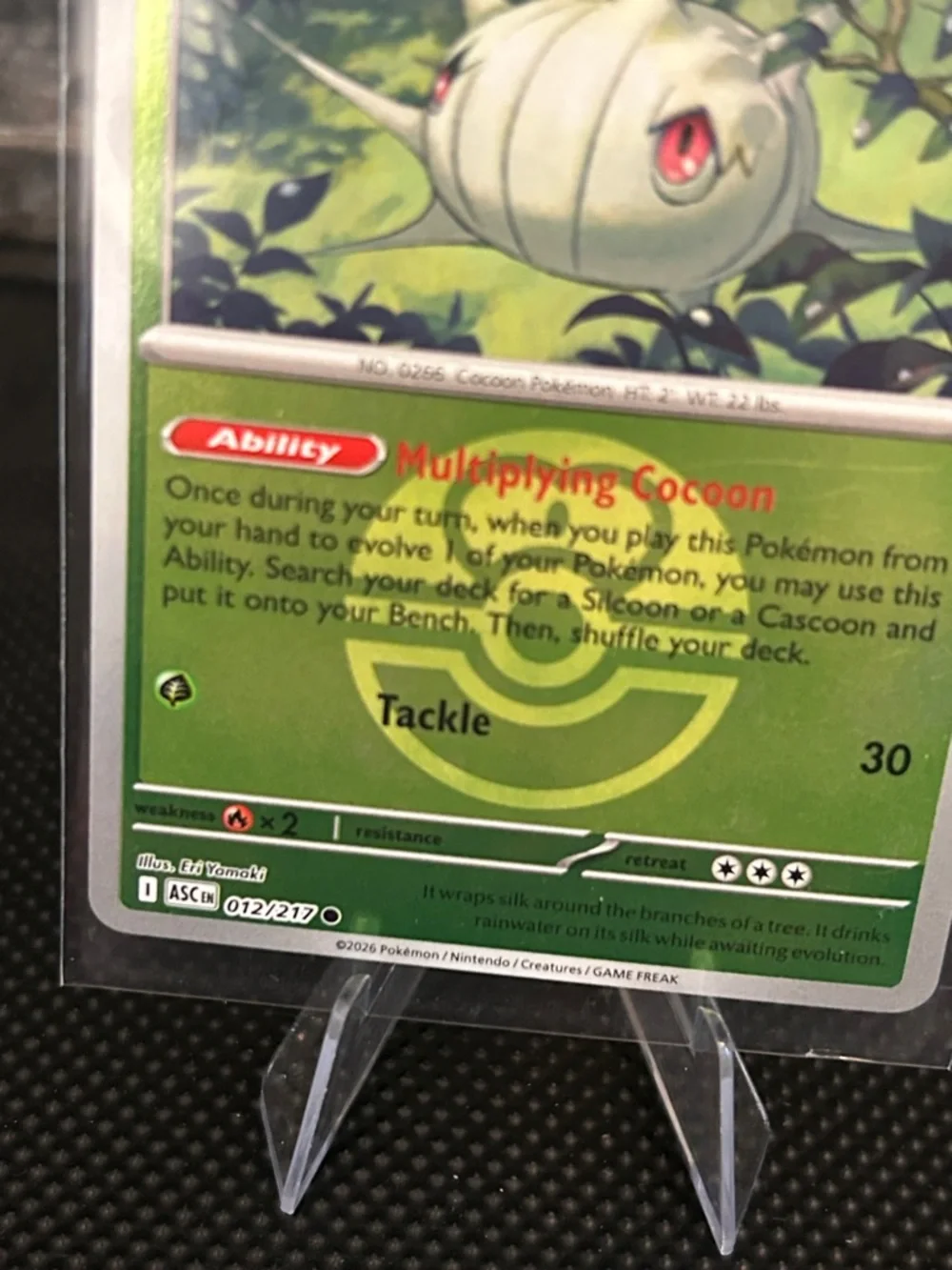Pokemon Silcoon 012/217 Reverse Holo Rare from Ascended Heroes Set M/NM‎